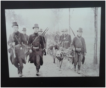 pseca zaprega belgijske vojske 1914